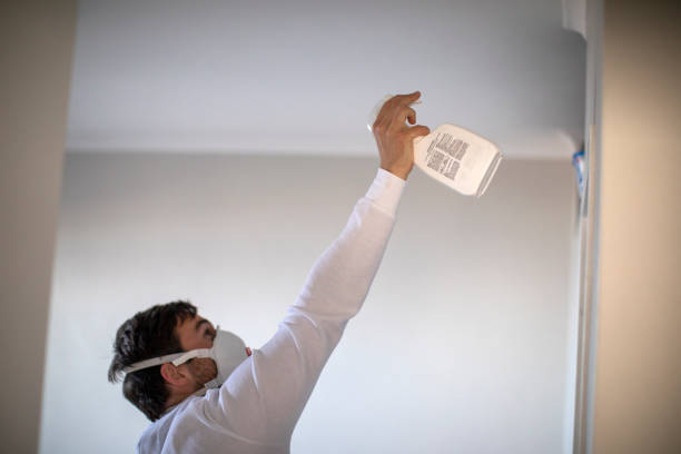 Best White Mold Remediation in Northwest Ithaca, NY