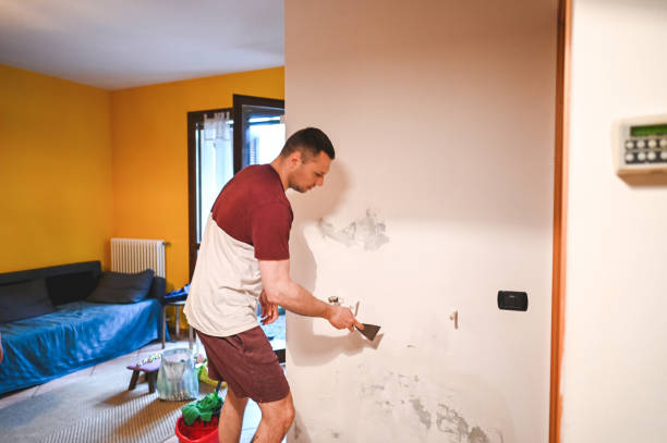 Best Insurance-Related Mold Remediation in Northwest Ithaca, NY